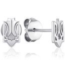 Серебряные пуссеты  С2/240