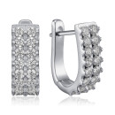 Серебряные серьги с фианитами B00066-E/12/1