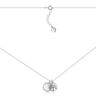 Серебряное колье с перламутром C02160-K/12/1101