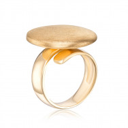 Серебряное позолоченное кольцо. (5AG0027B-1-R/20)