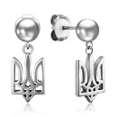 Срібні сережки  С2/276