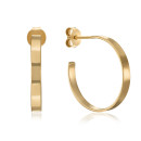 Срібні позолочені сережки (ORT  8955 G-E/20)