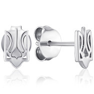 Срібні пусети  С2/240