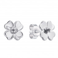 Срібні пусети (1EA83343)