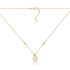 Срібне кольє з емаллю CLT_11931-K/20/483