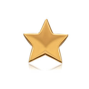 Срібна позолочена підвіска-шарм Звездочка (HG-318-S-P/20)